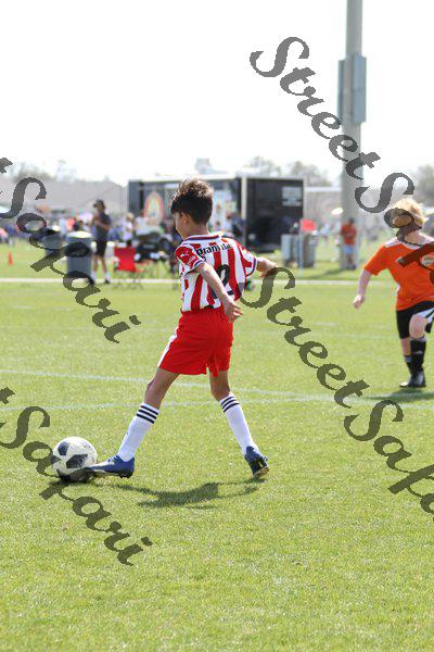 IMG_0087 (cam 0)