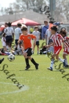 IMG_0040 (cam 0)