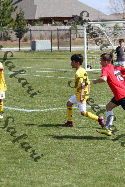 IMG_0007 (cam 0)