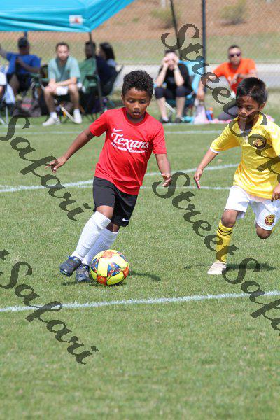 IMG_0050 (cam 0)