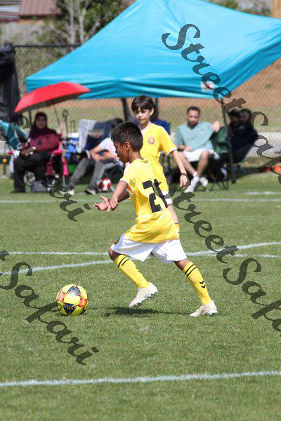 IMG_0067 (cam 0)