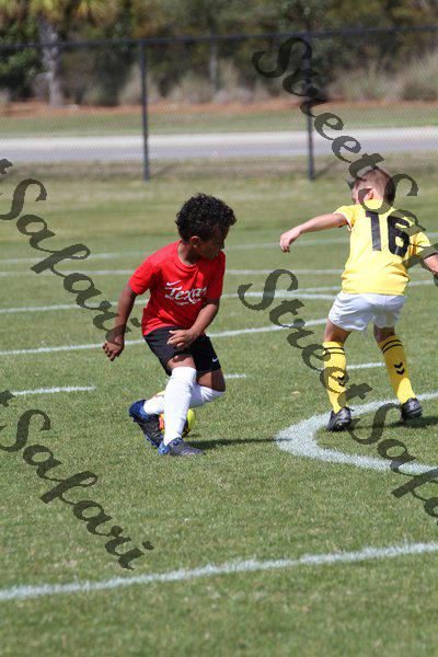 IMG_0069 (cam 0)
