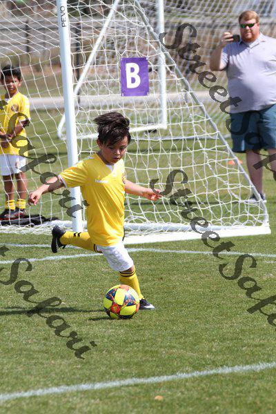 IMG_0091 (cam 0)