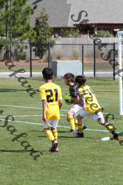 IMG_0117 (cam 0)