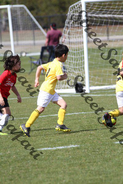 IMG_0184 (cam 0)