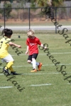 IMG_0025 (cam 0)