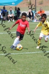 IMG_0050 (cam 0)