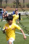 IMG_0087 (cam 0)