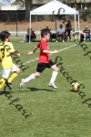 IMG_0112 (cam 0)
