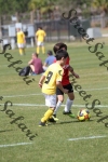 IMG_0182 (cam 0)