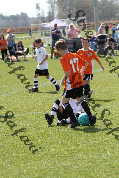 IMG_0031 (cam 0)