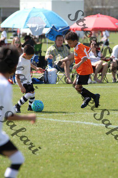 IMG_0043 (cam 0)