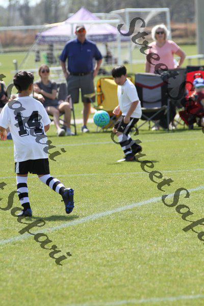 IMG_0086 (cam 0)