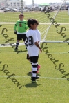 IMG_0012 (cam 0)
