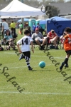 IMG_0040 (cam 0)