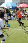 IMG_0043 (cam 0)