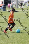 IMG_0062 (cam 0)