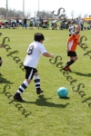IMG_0145 (cam 0)