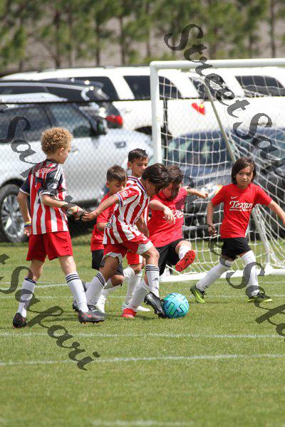 IMG_0040 (cam 0)