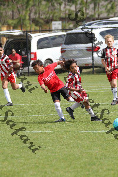 IMG_0077 (cam 0)