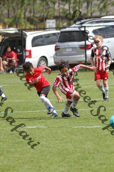 IMG_0078 (cam 0)