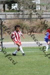 IMG_0024 (cam 0)