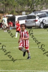 IMG_0052 (cam 0)
