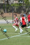 IMG_0108 (cam 0)