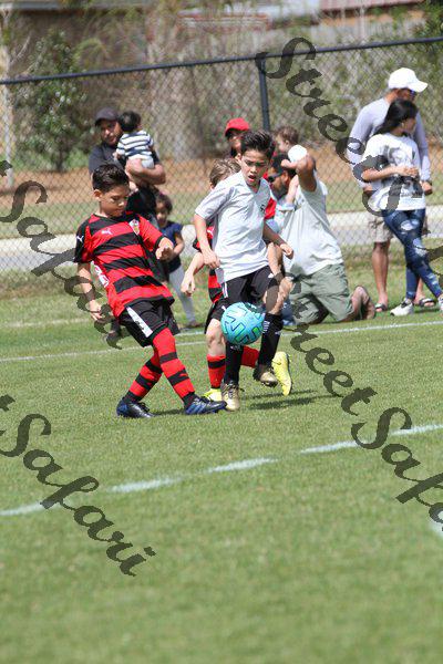IMG_0069 (cam 0)