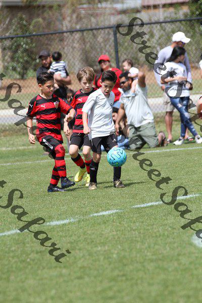 IMG_0070 (cam 0)