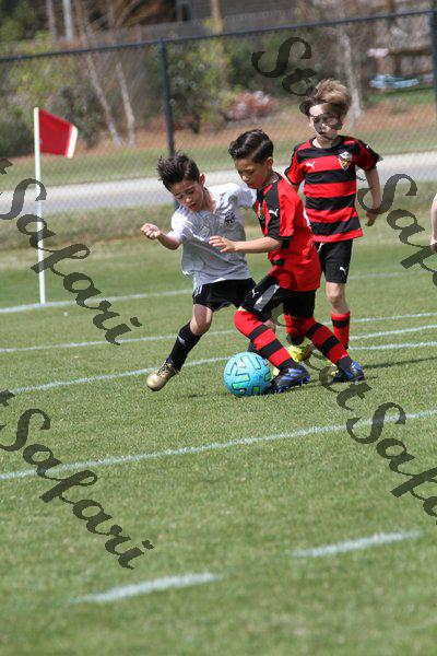IMG_0076 (cam 0)