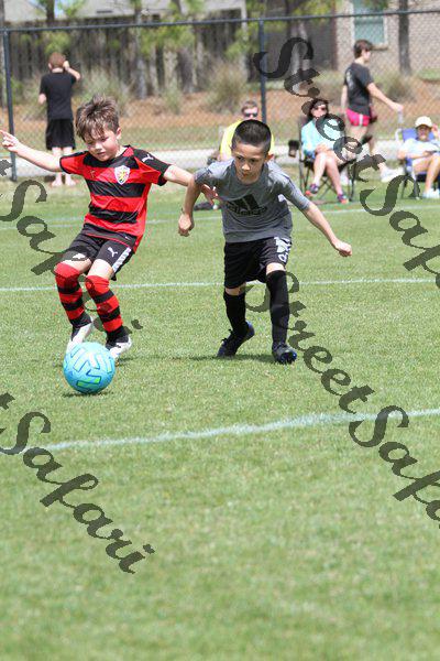 IMG_0082 (cam 0)