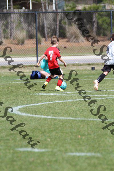 IMG_0101 (cam 0)