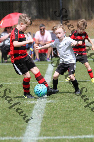 IMG_0106 (cam 0)