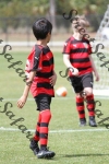 IMG_0035 (cam 0)