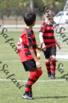 IMG_0036 (cam 0)