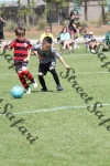 IMG_0081 (cam 0)