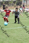 IMG_0082 (cam 0)