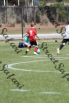 IMG_0101 (cam 0)