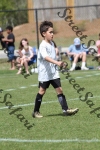 IMG_0110 (cam 0)
