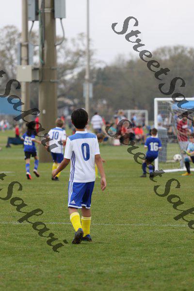 IMG_0071 (cam 0)