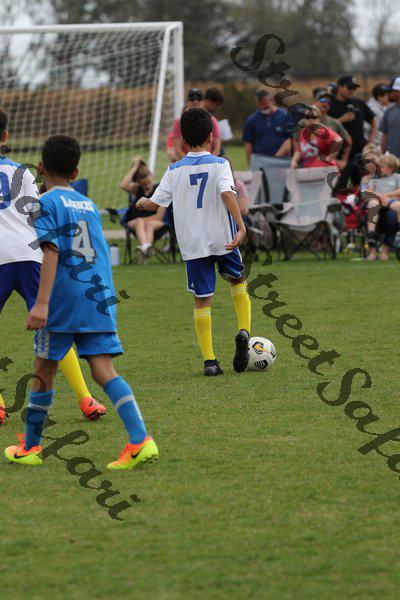 IMG_0029 (cam 0)