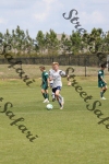 IMG_0035 (cam 0)