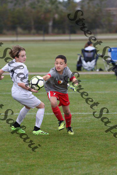 IMG_0008 (cam 0)