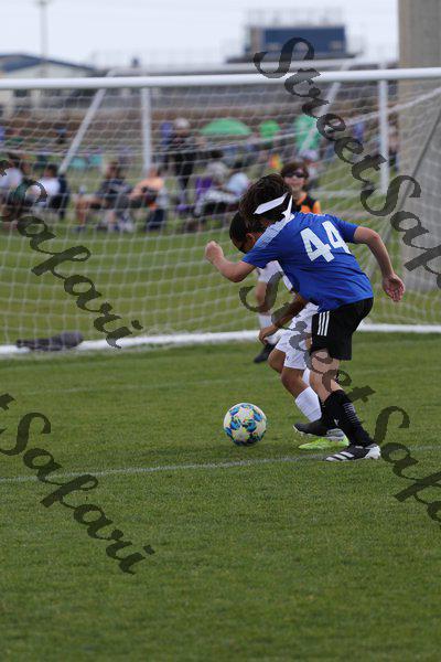 IMG_0050 (cam 0)