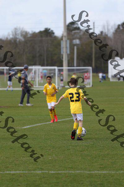 IMG_0005 (cam 0)