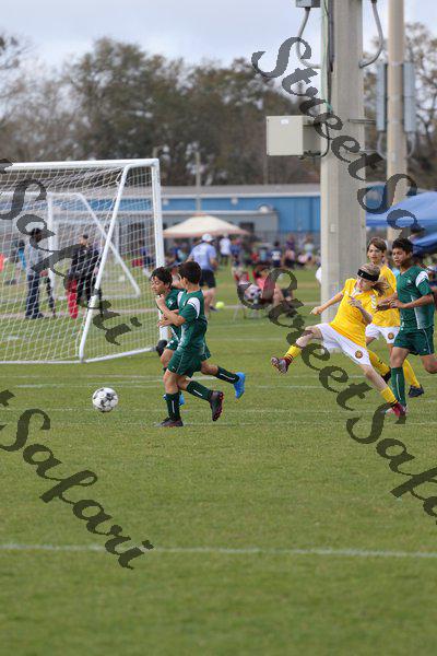 IMG_0015 (cam 0)