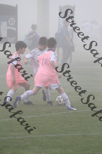 IMG_0062 (cam 0)