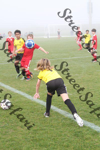 IMG_0041 (cam 0)