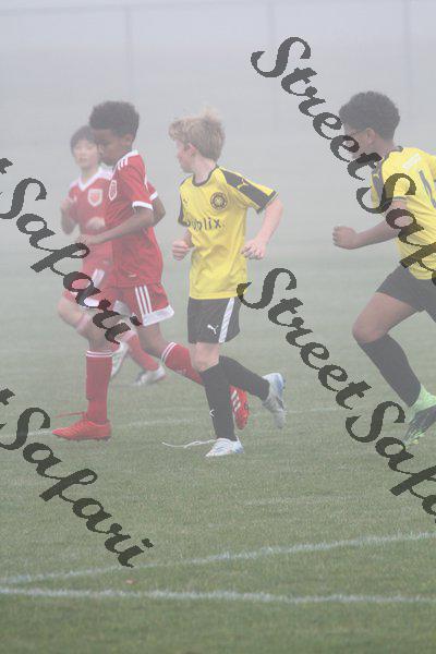 IMG_0091 (cam 0)